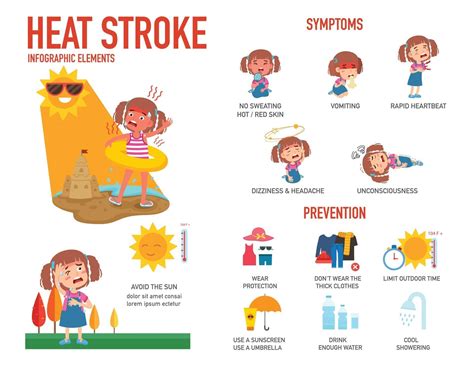 Heat Stroke Risk Sign And Symptom And Prevention Infographic Vector