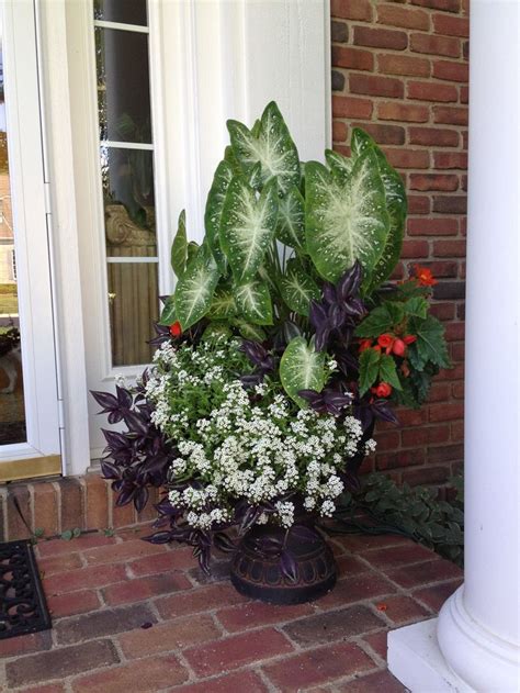 17 Best Images About Landscaping Front Porch On Pinterest