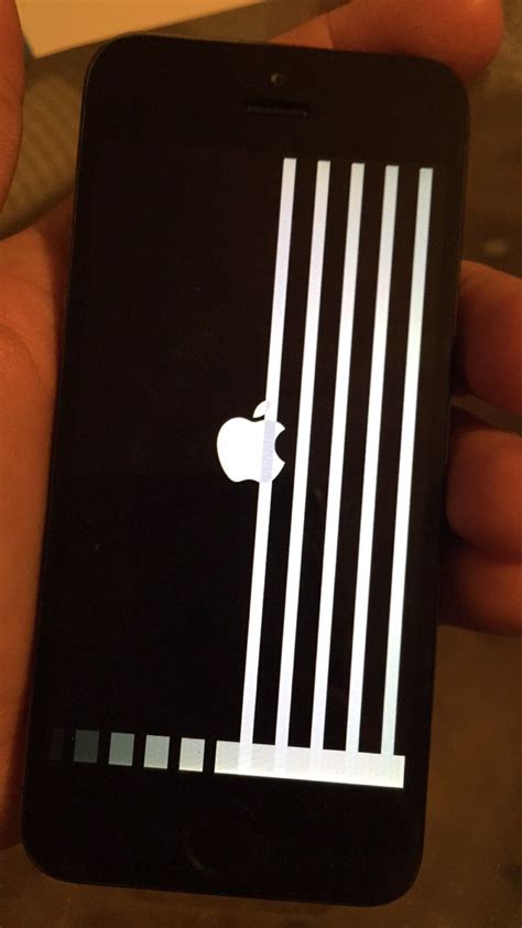Dropped Iphone 5s Has White Lines Help Iphone