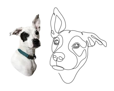 Dog Line Drawing Tattoo Commission Custom Dog Portrait Pet Etsy