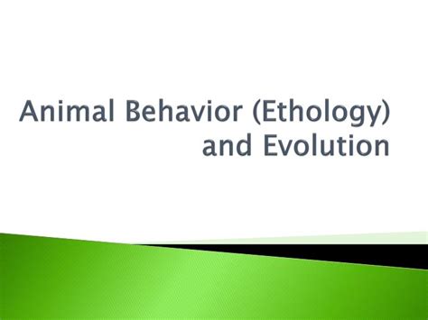 Ppt Animal Behavior Ethology And Evolution Powerpoint