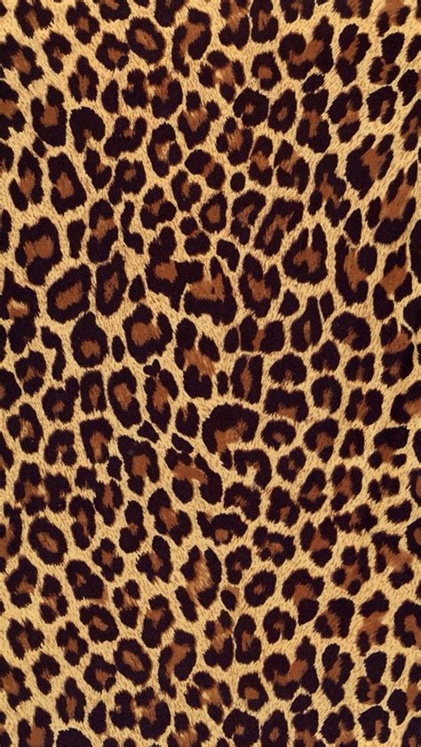 46 Leopard Print Background Wallpaper Wallpapersafari