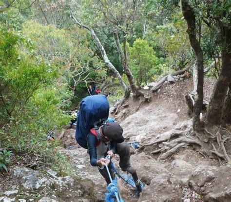 Mengetahui Jalur Pendakian Gunung Gede Pangrango Yang Seru Lewat