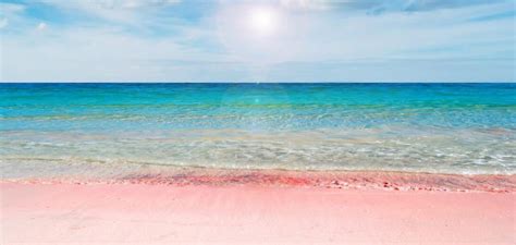 Pink Beaches To Explore Most Gorgeous Pink Sand Travel Destination