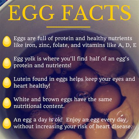 10 Key Health Benefits Of Eggs In Your Diet Health