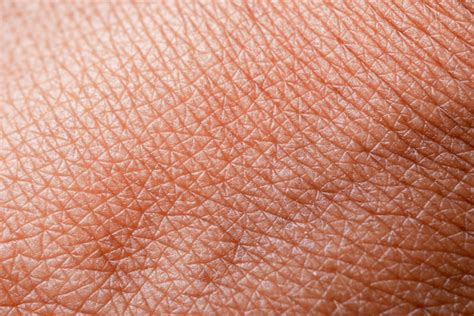 Premium Photo Texture Of The Skindark Skin Of Woman Hand Macro