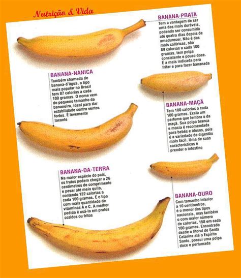 Como Diferenciar Tipos De Banana Mundo Ecologia Images And Photos Finder