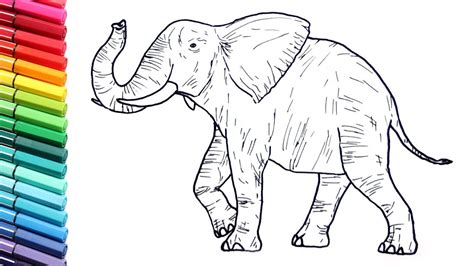 Drawing And Coloring A Elephant Wild Animals Color Pages