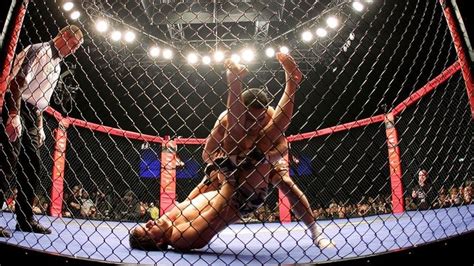 In Defence Of The Combat Sport Cage Abc News