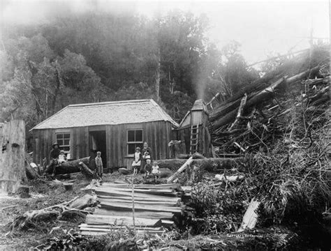 Settlers Homestead In New Zealand Photograph Art Prints Wood And Metal