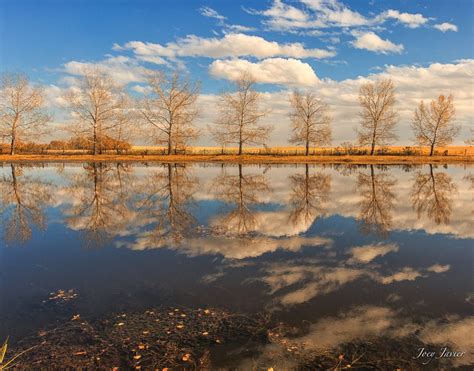 Fall Reflections By Joey Javier On 7 Continents Photo Walk