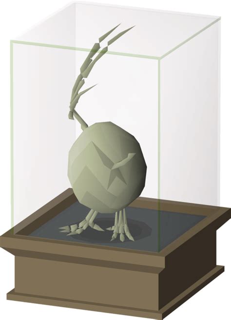 File Small Fossil Display Wyvern Egg Pelvis Png Osrs Wiki