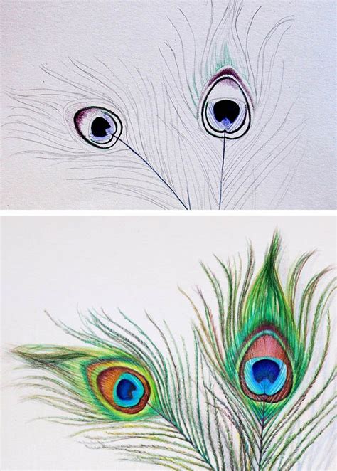 How To Draw A Peacock Feather Step By Step For Beginners Draw Easy