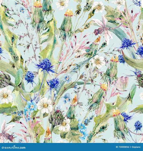 Summer Watercolor Seamless Floral Pattern With Wild Flowers Stock