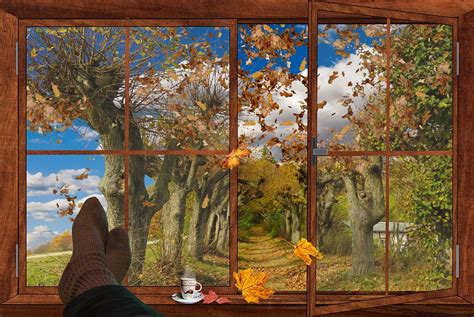 Autumn Window Fall Foliage · Free Image On Pixabay