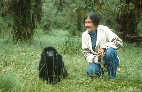 Genitive singular form of dia. Foto del día: La primatóloga Dian Fossey, que pagó con la ...