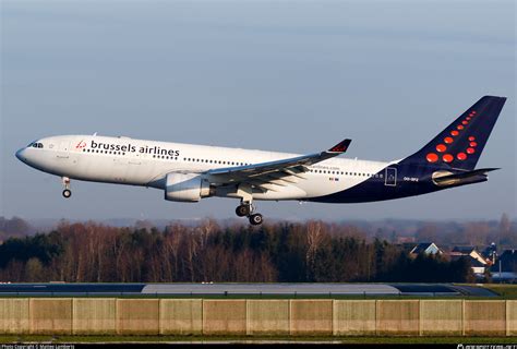 Oo Sfz Brussels Airlines Airbus A330 223 Photo By Matteo Lamberts Id