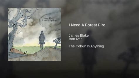 11 James Blake I Need A Forest Fire Feat Bon Iver Youtube