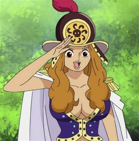 Aphelandra Wiki •one Piece• Amino