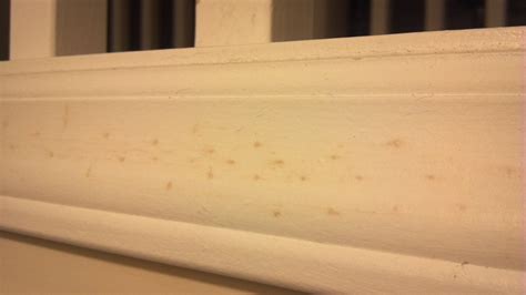 What Causes Yellow Spots On Bathroom Walls Artcomcrea