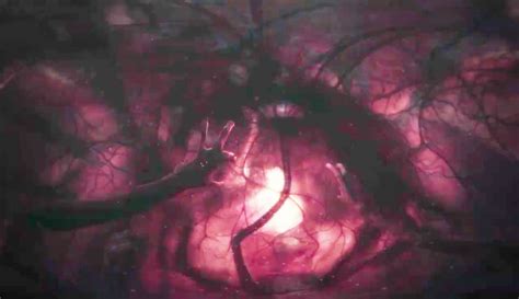 Neomorph Inside Womb A Closer Look Alien Covenant Forum