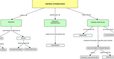 Mapa Conceptual De Nutrientes Geno Porn Sex Picture