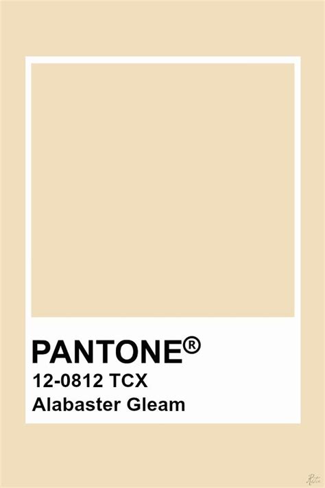 Pantone Alabaster Gleam Couleur Pantone Palettes De Couleurs Chambre