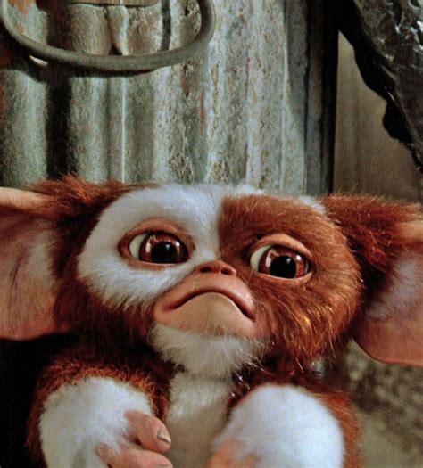 Pin By Quyen On Movies Gremlins Gizmo Gremlins Gizmo