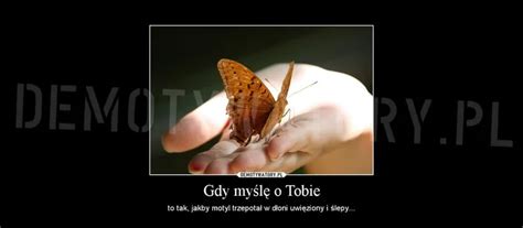 Motyl Na Dłoni 📖 Polishgeno