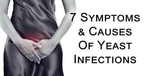 Symptoms Causes Of Yeast Infections David Avocado Wolfe
