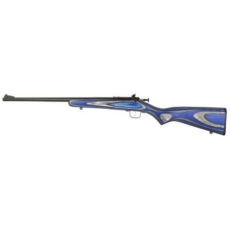 Crickett Rifle G2 22lr Bluedblue Laminate The Gunsmith