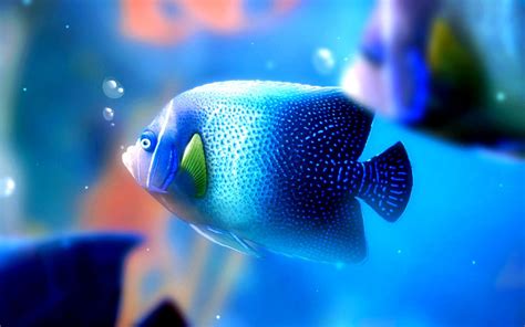 Big Blue Fish Under The Water Hd Wallpaper