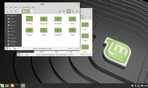 Detalladas Las Novedades De Linux Mint 191 Linux