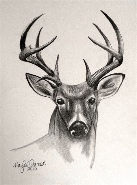 Deer Drawing Sketchbook