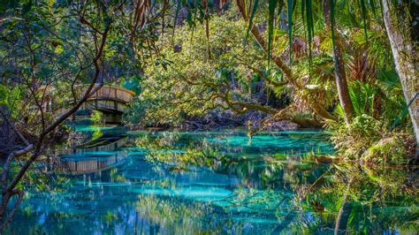 Juniper Springs In Ocala National Forest Florida Bing Wallpaper Gallery