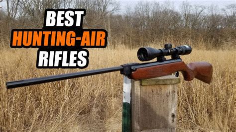 5 Best Hunting Air Rifles Review 2022 Youtube