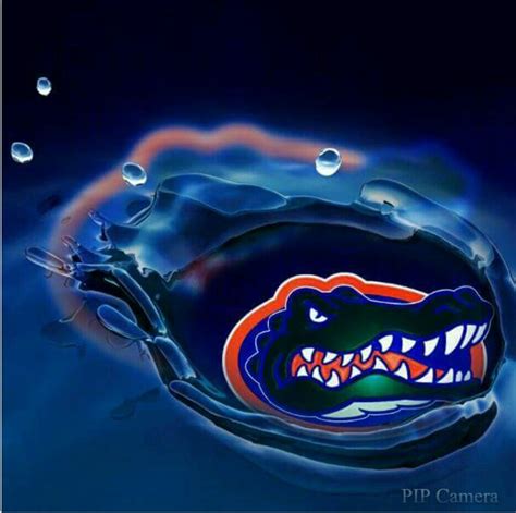 Logo Florida Gators Football Wallpaper