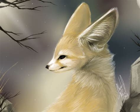 Pin By Danji Isthmus On Danji Art Fennec Fox Art Fox Art Animals