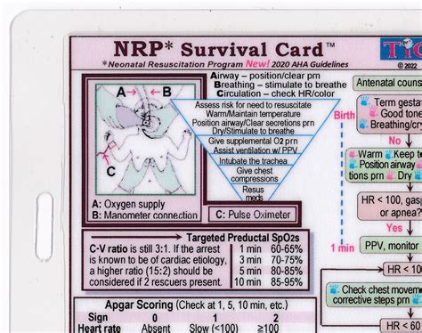 Nrp Neonatal Resuscitation Program Survival Card Quick Etsy