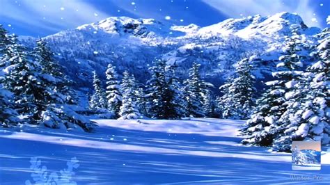 Live Winter Snow Fall Background Wallpaper Pure Cool Relaxing Xmas