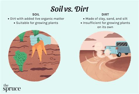 Soil Vs Dirt What S The Difference