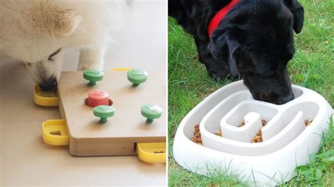 Confira Essa Lista 6 Como Fazer Brinquedo Interativo Para Cachorro Perfecto