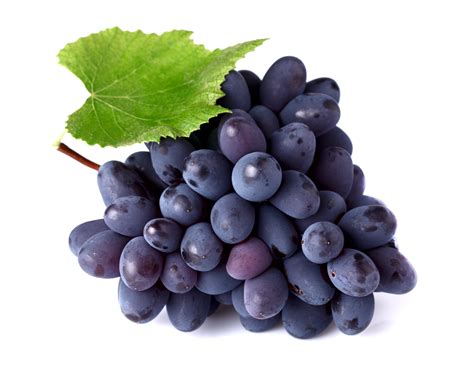 The Meaning And Symbolism Of The Word Grapes
