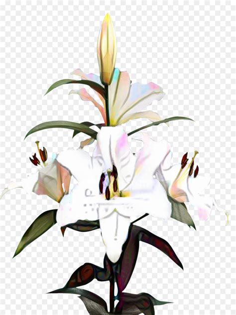 Flower Easter Lily Clip Art Transparent Pink Lily Flower Clipart Png