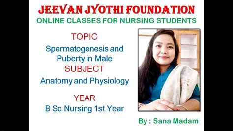 Spermatogenesis And Puberty In Male Ii B Sc Nursing St Year Ii Anatomy