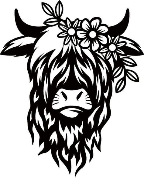 Highland Cow With Flowers Cow Drawing Cricut Highland Cow