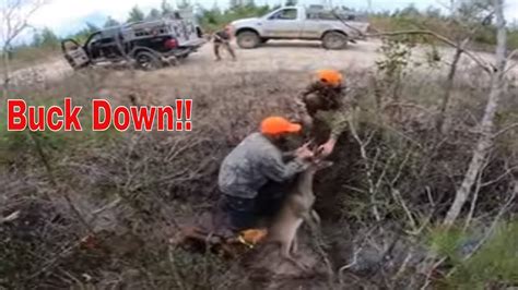 Deer Hunting With Hounds 2019 Season Youtube