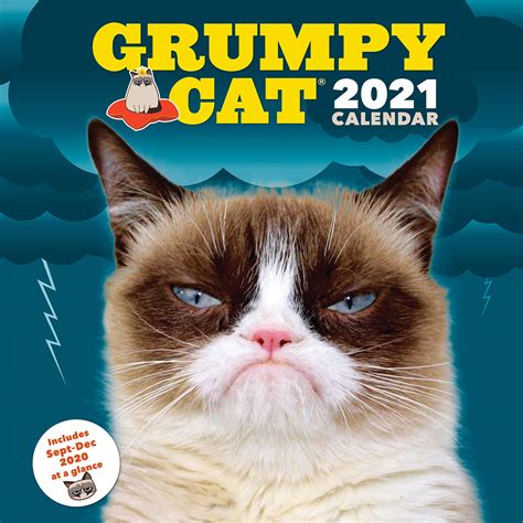 This cat is the world's most hateful cat, she hates everything and is fed up of whole world, learn more about this cat. Funny Wall Calendars 2021 | 2022 Calendar