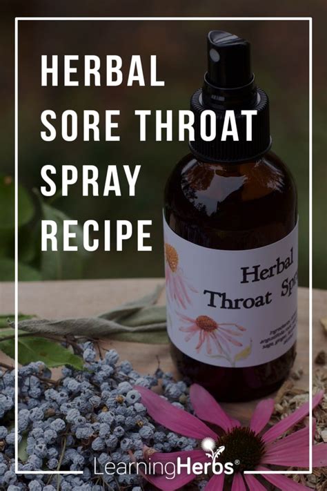How To Make Herbal Formulas And A Sore Throat Spray Recipe Cold Home