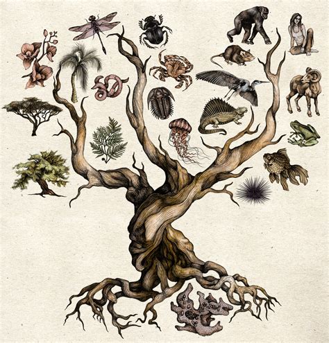 Learning sigil on cream card stock. Darwin's Tree of Life on Behance